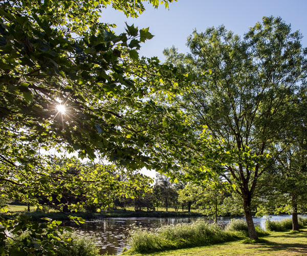 Wooded park of the hotel de l